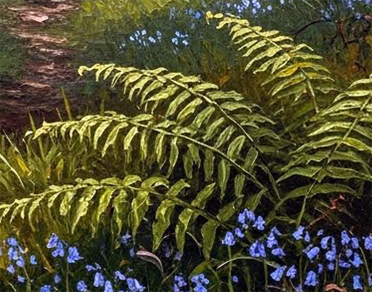 The Clearing - Image 4