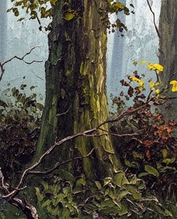 The Clearing - Image 2