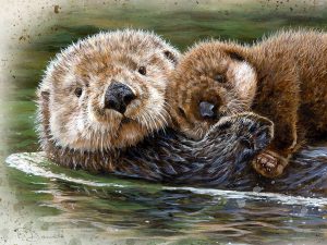 Otter and Cub