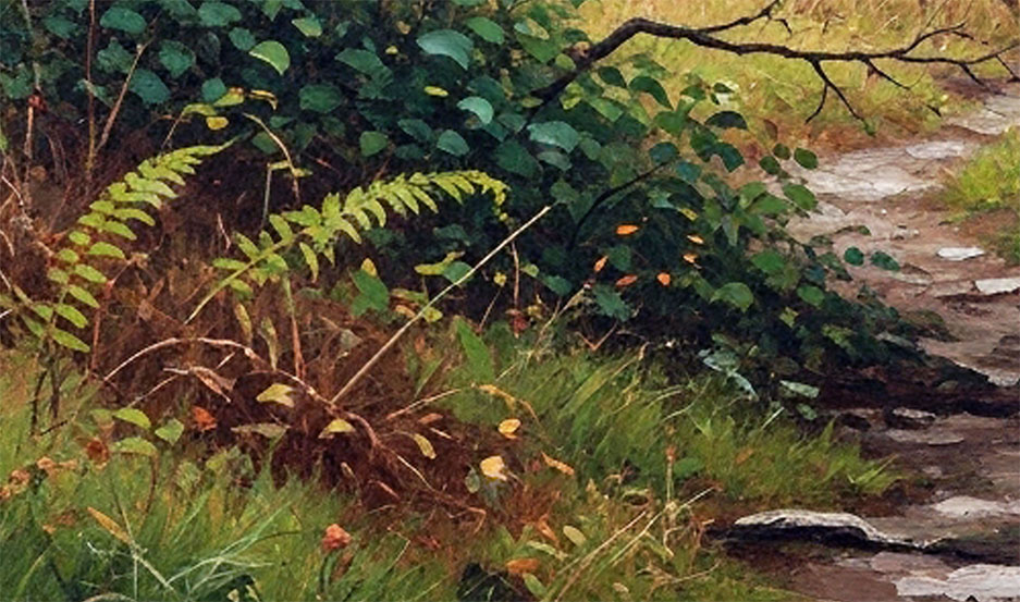 Under the Broken Tree - Image 2